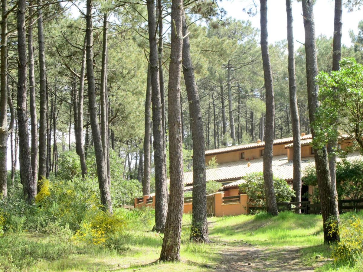 לאקאנו Holiday Home Les Maisons De La Foret By Interhome מראה חיצוני תמונה